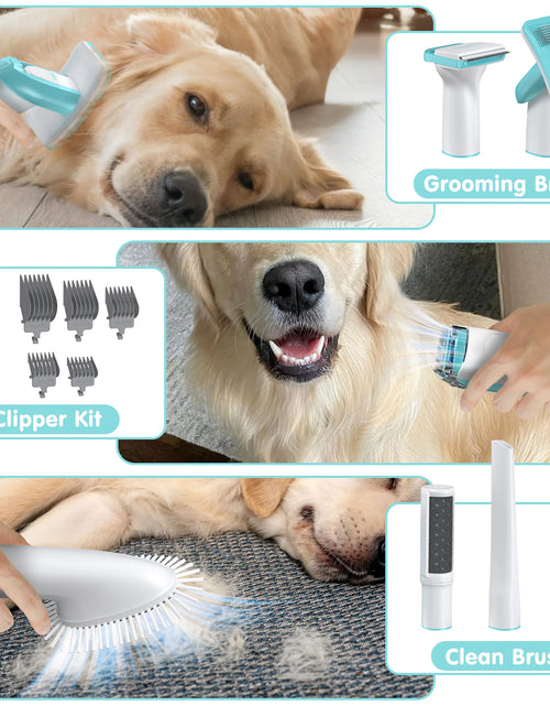 Load image into Gallery viewer, Professional 6-In-1 Dog Grooming Vacuum Kit - 11000PA High Suction &amp; 1.5L Large Capacity | 99% Hair Removal with Complete Grooming Tools | High Suction Pet Vacuum for Professional Grooming
