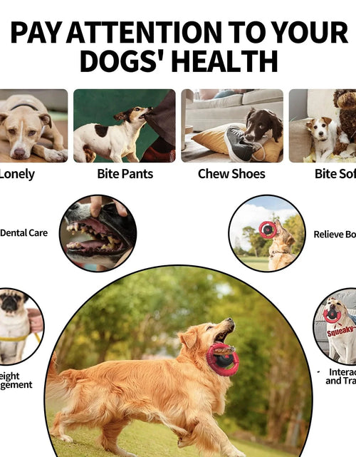 Load image into Gallery viewer, Extreme Tough Dog Chew Toys for Aggressive Chewers, Extra Durable Dog Squeaky Toys for Medium Breed, Indestructible Nylon Dog Toys for Large Dogs, Keep Dogs Busy
