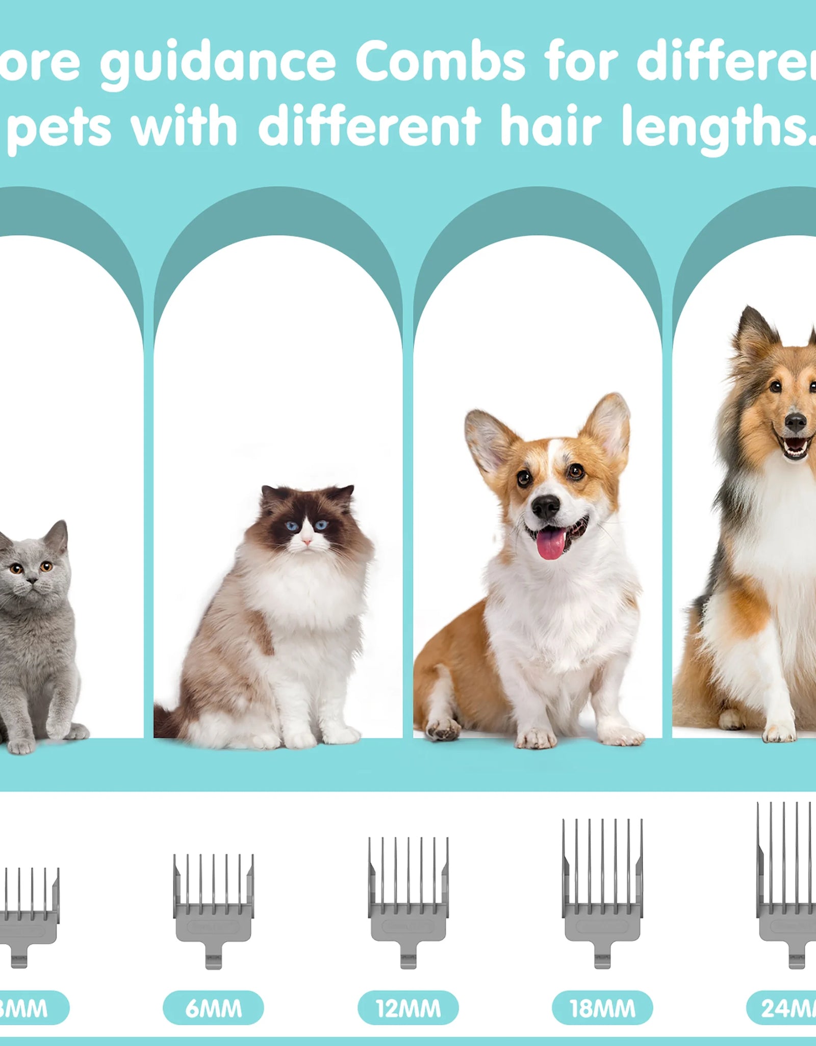 Professional 6-In-1 Dog Grooming Vacuum Kit - 11000PA High Suction & 1.5L Large Capacity | 99% Hair Removal with Complete Grooming Tools | High Suction Pet Vacuum for Professional Grooming