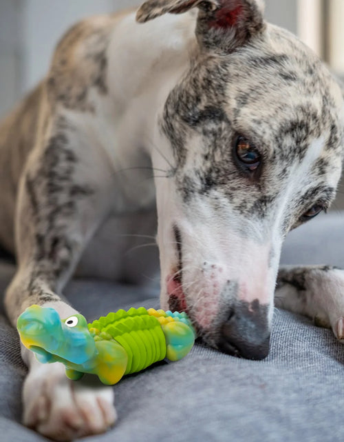 Load image into Gallery viewer, Tough Dog Toys,Dog Toys for Aggressive Chewers,Indestructible Dog Toys for Large Breed,Durable Dog Toys for Large Dogs,Bacon Flavor,Green
